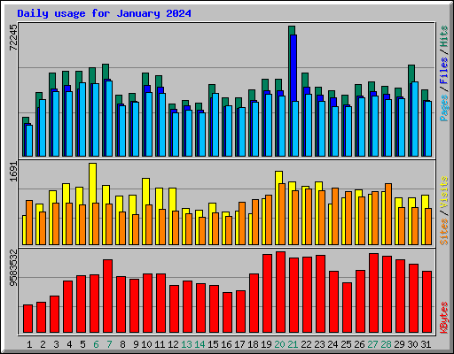 Daily usage for January 2024