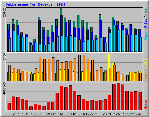 Daily usage for December 2024