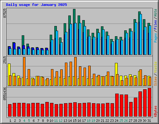 Daily usage for January 2025