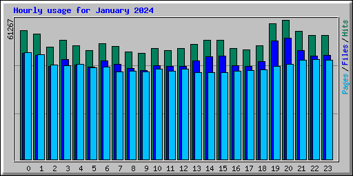 Hourly usage for January 2024