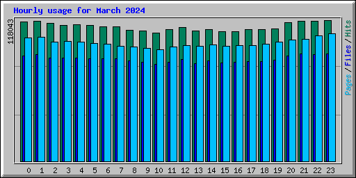 Hourly usage for March 2024