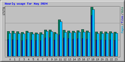 Hourly usage for May 2024