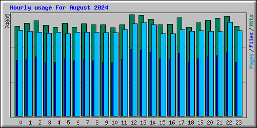 Hourly usage for August 2024