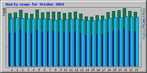 Hourly usage for October 2024