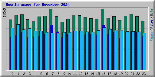 Hourly usage for November 2024