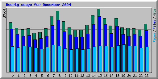 Hourly usage for December 2024